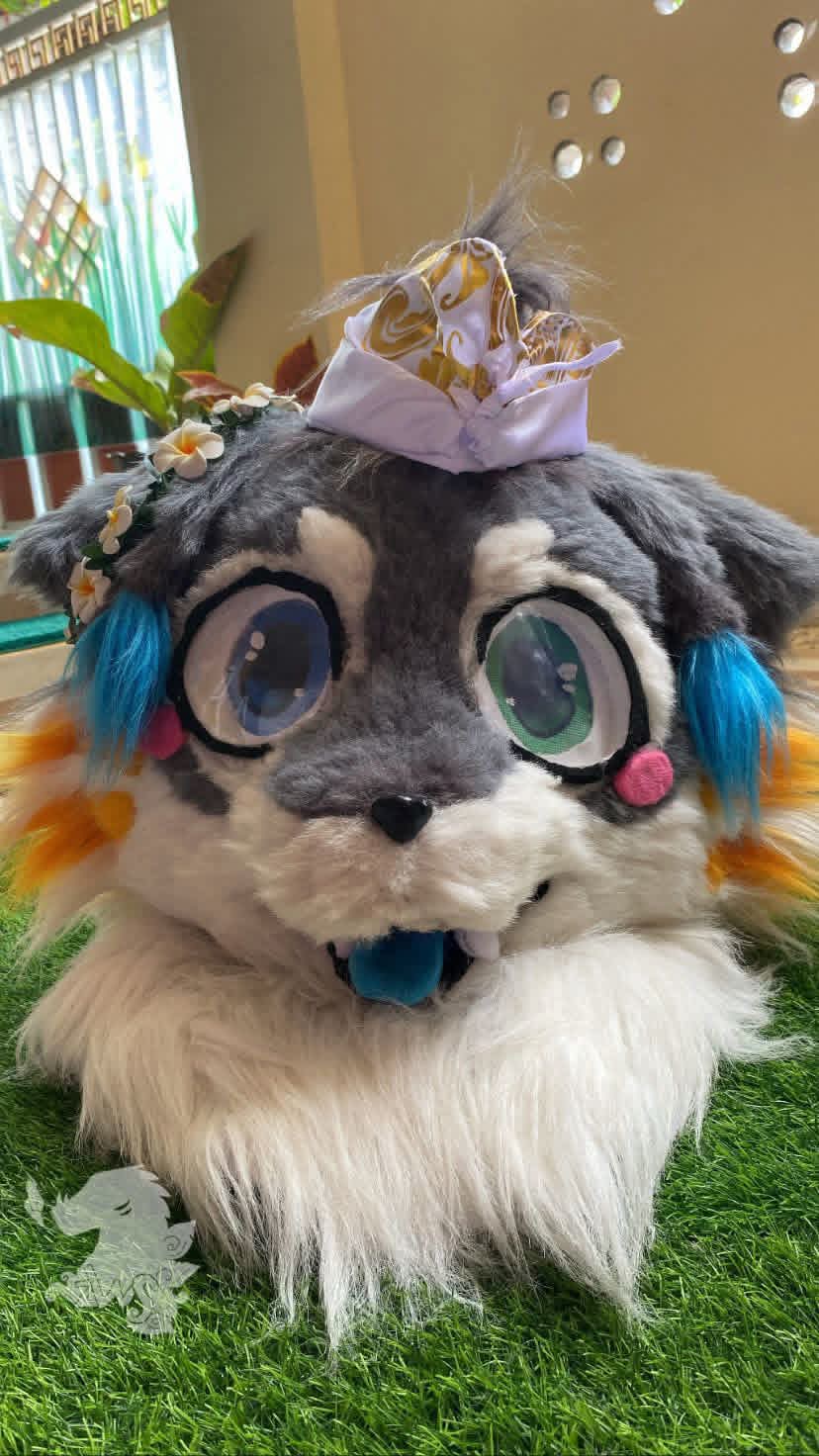 Fursuit example 1