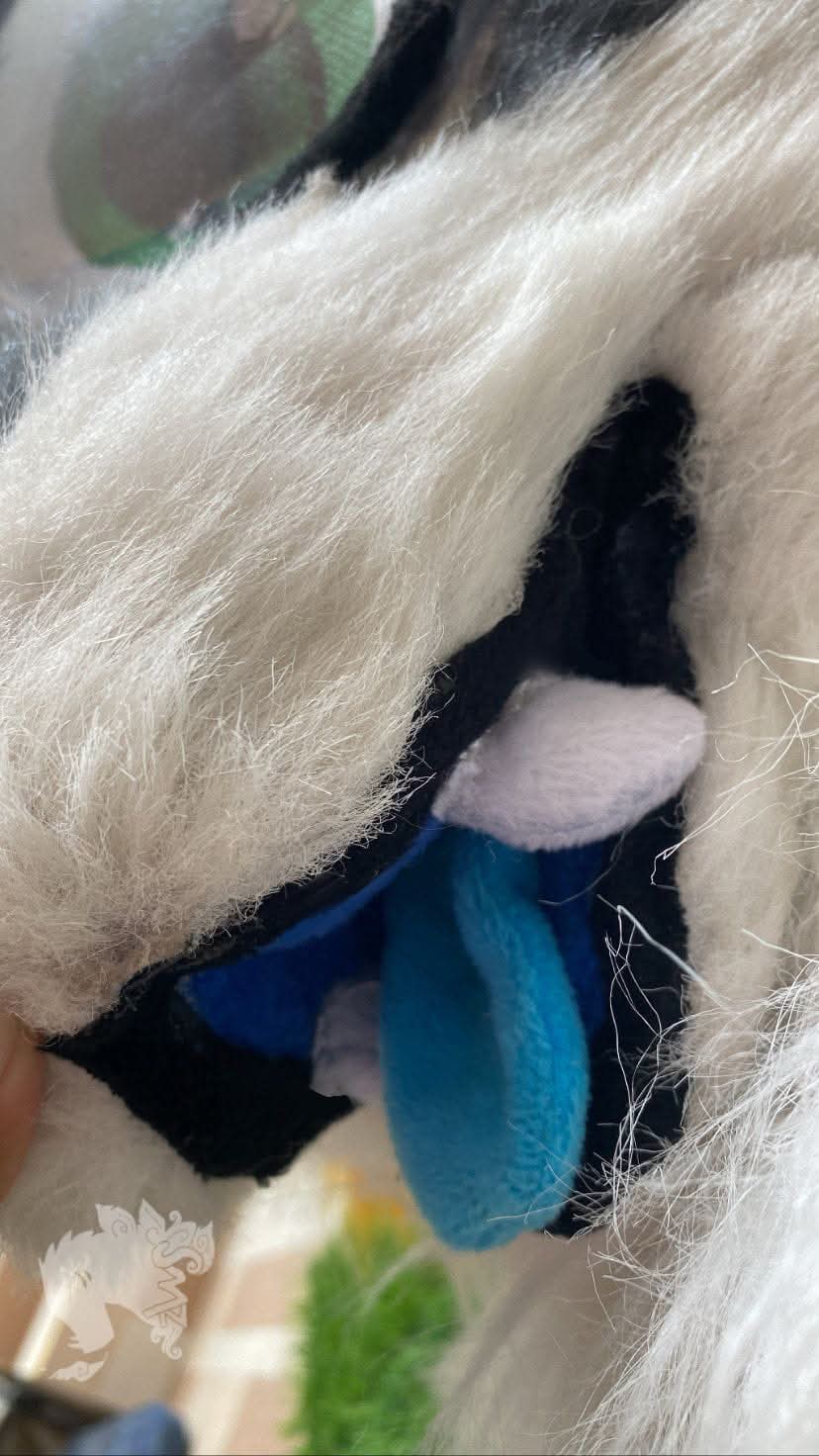 Fursuit example 5